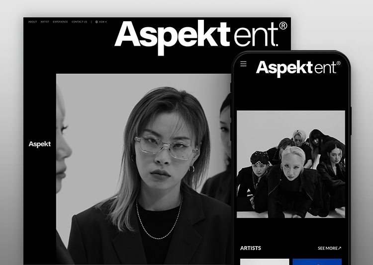 ASPEKT ENT 웹사이트 대표 화면